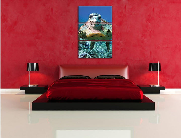 Pixxprint Schildkröte im Korallenriff als Leinwandbild/Grösse: 3 Teilig (120x80) cm/Wandbild/Kunstdr