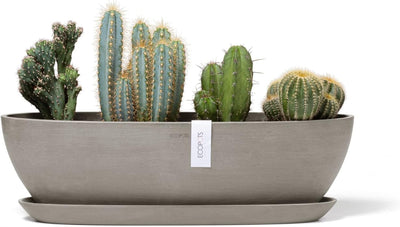 ECOPOTS Pflanzschale Sofia Dunkel Braun Grau - 56 x 14 cm oval gross - Pflanzentopf aus Recycling Ku