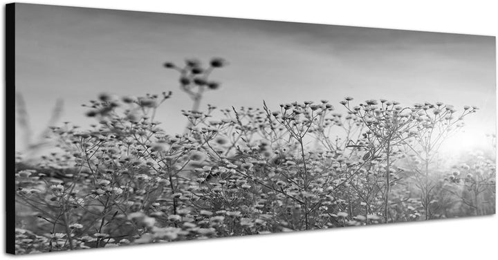 Paul Sinus Art Leinwandfoto als Panorama SCHWARZ/Weiss 120x40cm Blumenwiese Herbst Sonnenstrahlen