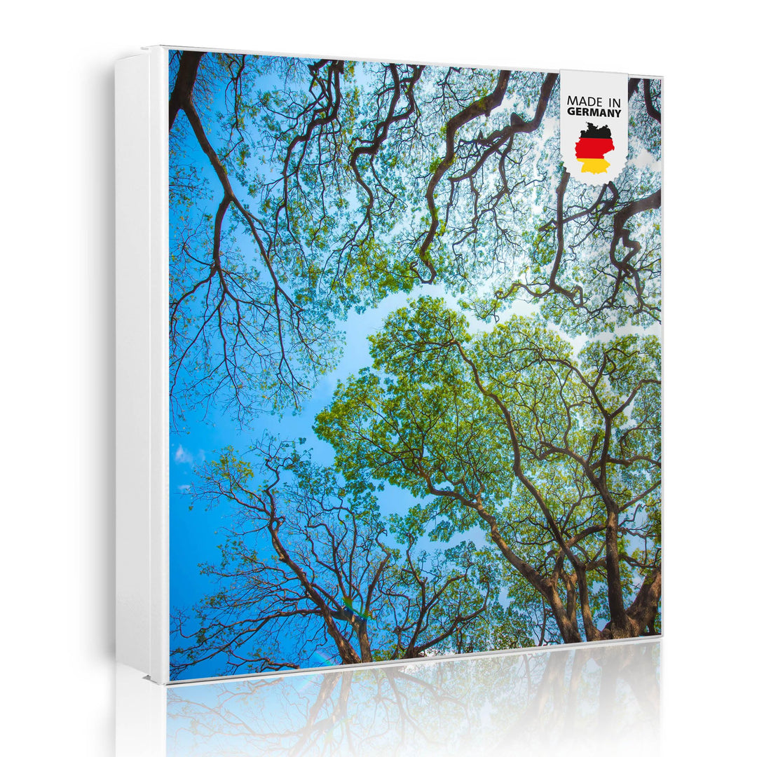 banjado® Grosser Schlüsselkasten Glas/Schlüsselbox 30cm x 30cm mit 50 Haken - Motiv Zwischen Bäumen
