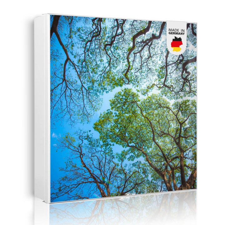 banjado® Grosser Schlüsselkasten Glas/Schlüsselbox 30cm x 30cm mit 50 Haken - Motiv Zwischen Bäumen