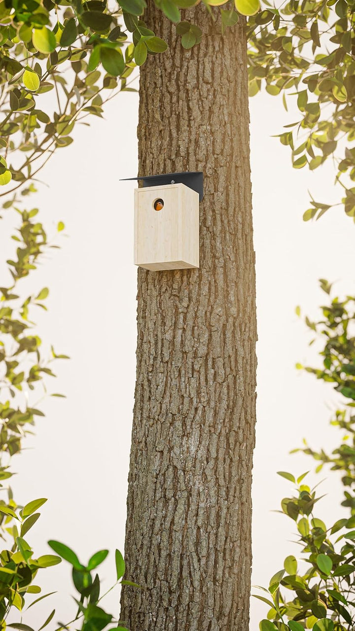 Alberts 355296 Vogelhäuschen Schrägschutzdach | Vogelfutterhaus aus Stahl in verschiedenen Trendfarb