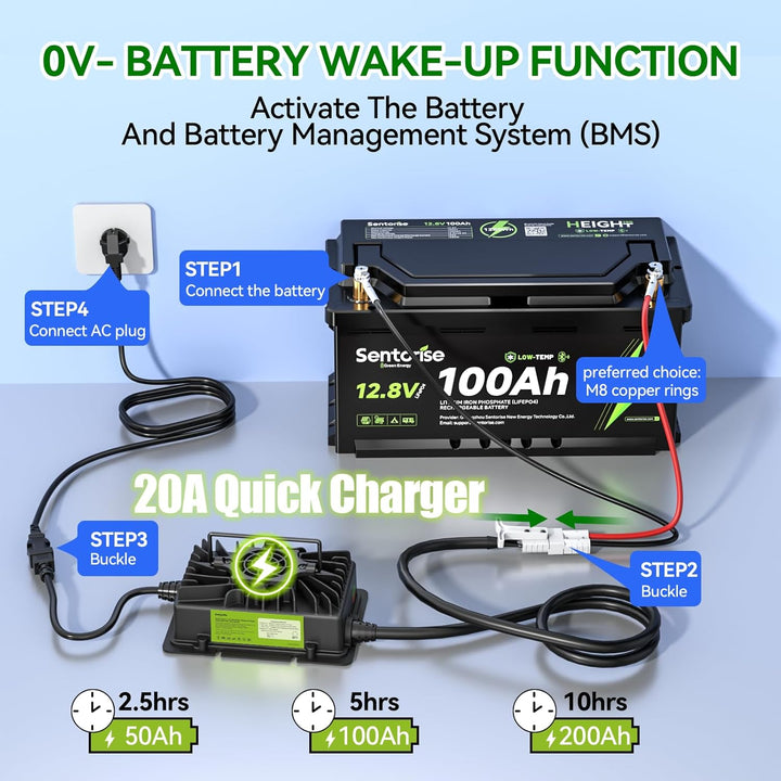 20 A LiFePO4 Batterieladegerät, 12 V/12,8 V Lithium-Batterie-Ladegerät mit Anderson-Anschluss, LED-A
