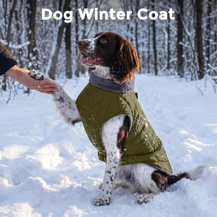 Warmer Fleece-Hundemantel mit strapazierfähigem Geschirr mit D-Ring, wasserdichte Welpenjacke für kl