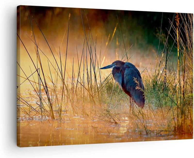 Bilder auf Leinwand Vogel Natur Wasser Leinwandbild mit Rahmen 70x50cm Wandbilder Dekoration Wohnzim