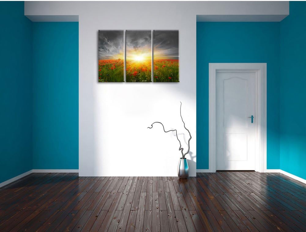 Pixxprint Mohnwiese in der Sonne als Leinwandbild/Grösse: 3 Teilig (120x80) cm/Wandbild/Kunstdruck/f