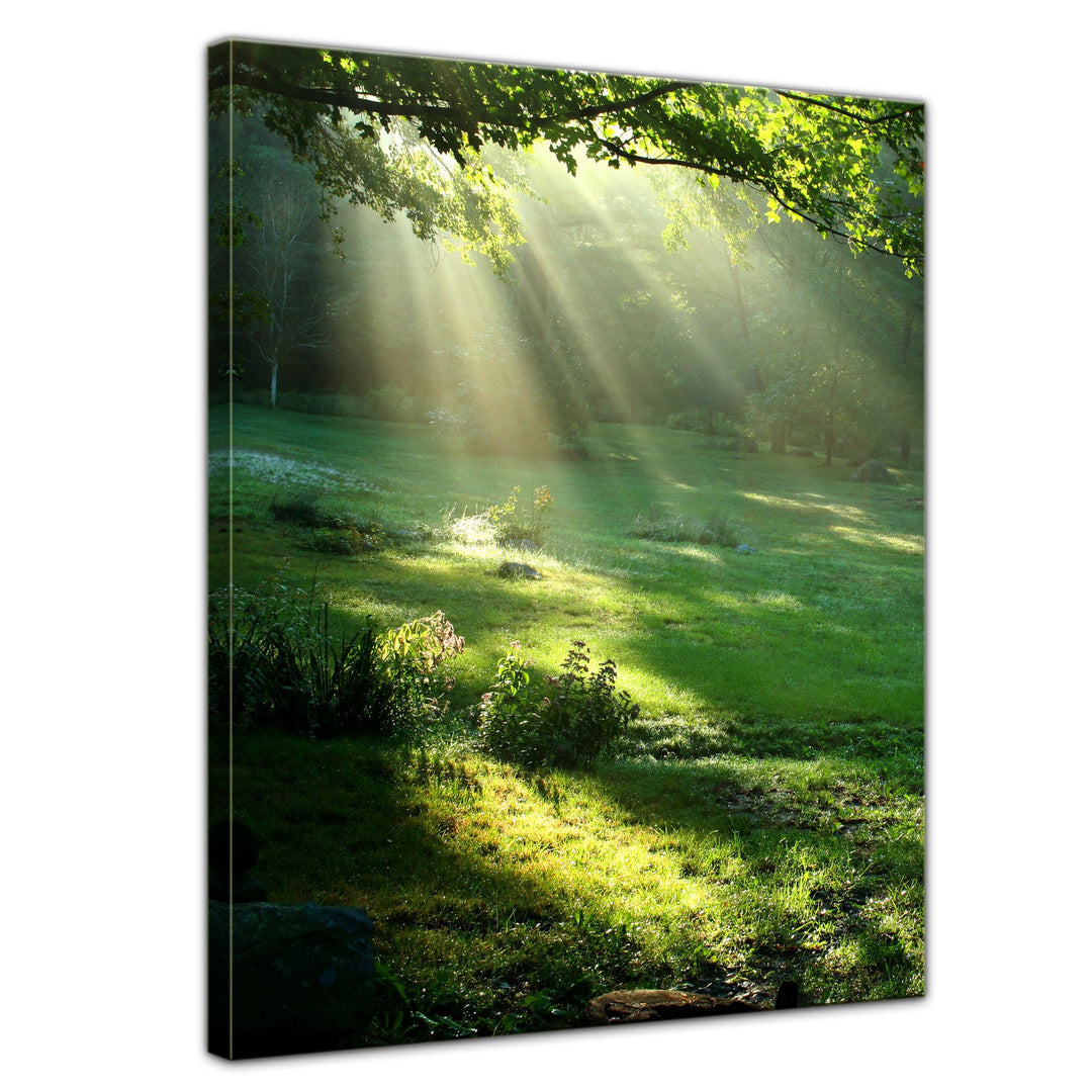Bilderdepot24 Bild auf Leinwand | Wiese in 50x70 cm als Wandbild | Wand-deko Dekoration Wohnung mode