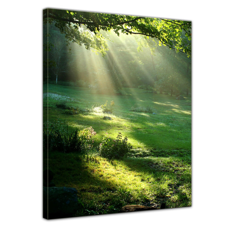 Bilderdepot24 Bild auf Leinwand | Wiese in 50x70 cm als Wandbild | Wand-deko Dekoration Wohnung mode