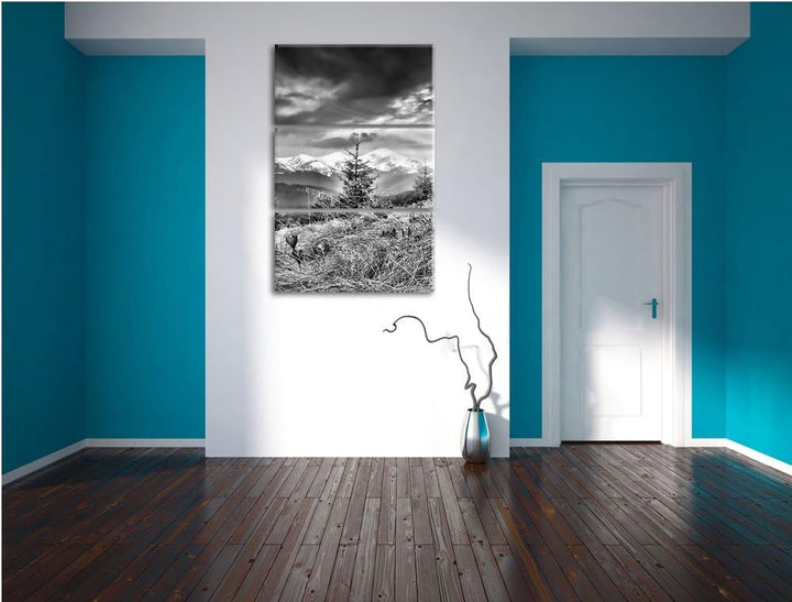 Pixxprint Monocrome, Krokusse auf Hochalmwiese in Alpen 3-Teiler Leinwandbild 120x80 Bild auf Leinwa