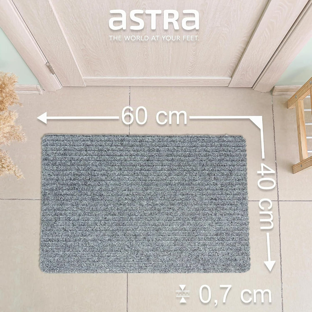 Astra Fussmatte innen Silber Schmutzfangmatte rutschfest – Türmatte 40x60 cm wasserabweisend – Rib L