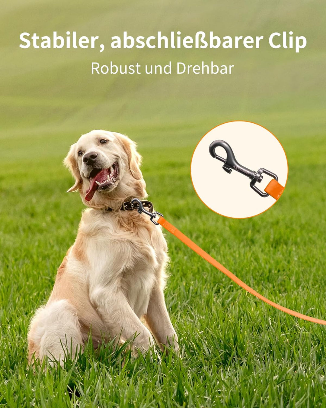Toozey Schleppleine für Hunde, 5m / 10m / 15m / 20m Schleppleine mit Handschlaufe und Netztasche, Wa