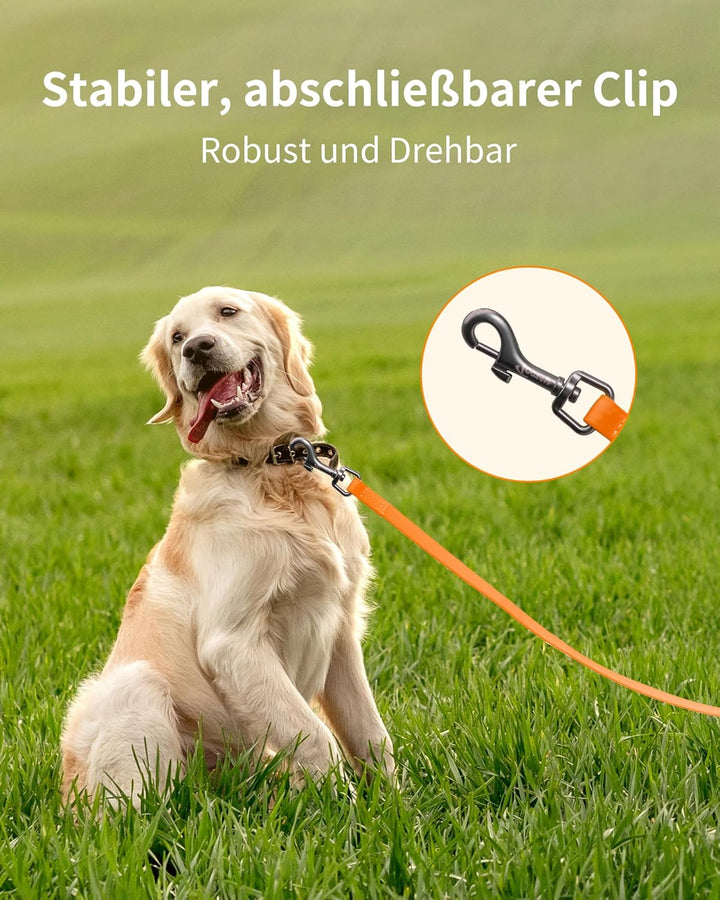 Toozey Schleppleine für Hunde, 5m / 10m / 15m / 20m Schleppleine mit Handschlaufe und Netztasche, Wa