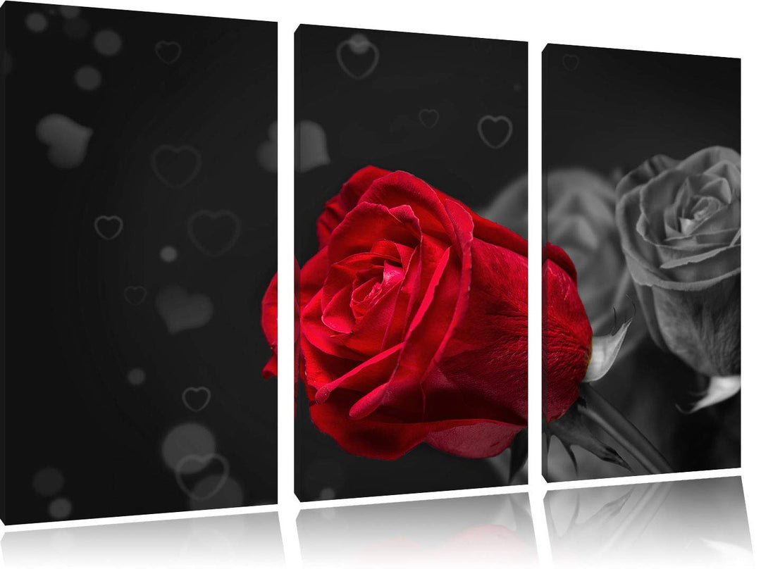 rote Rosen zum Valentinstag schwarz/weiss 3-Teiler Leinwandbild 120x80 Bild auf Leinwand, XXL riesig
