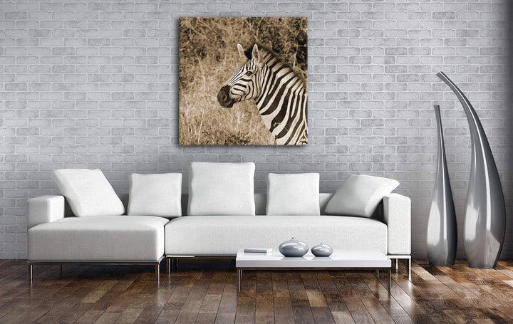 deyoli edles Zebra Format: 60x60 Effekt: Sepia als Leinwandbild, Motiv fertig gerahmt auf Echtholzra