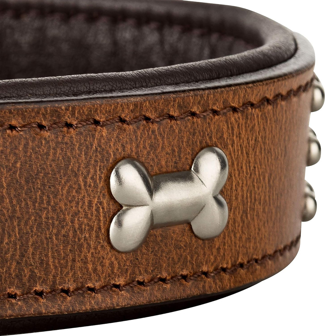 Schnüffelfreunde Nala Halsband für Hunde aus Leder mit Applikation und Nieten, Hundehalsband für den