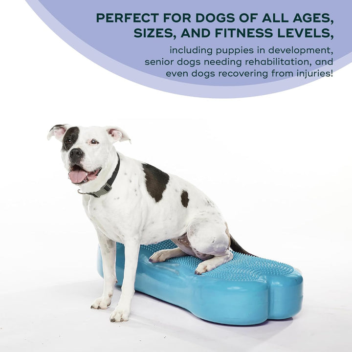 FitPAWS Giant Fitbone (blau)