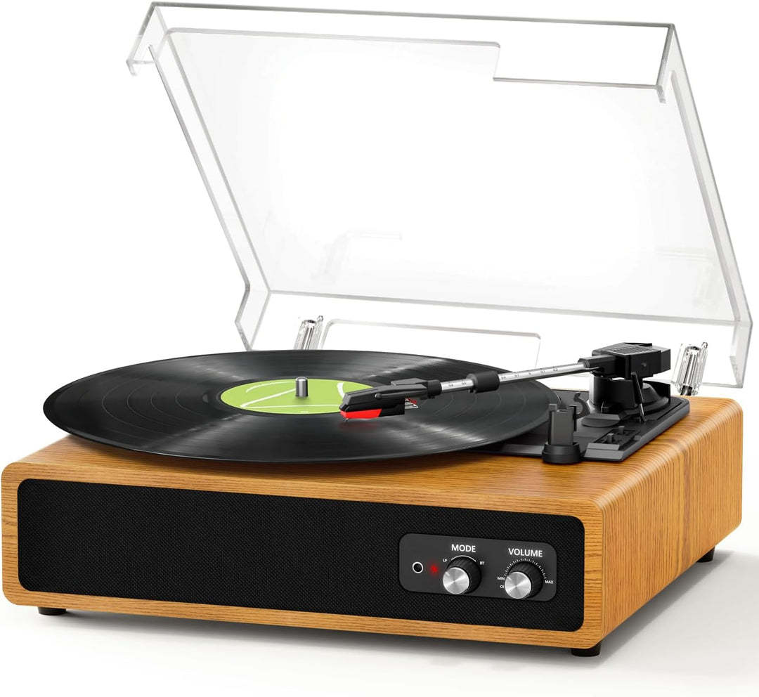 Plattenspieler, FYDEE Vinyl Plattenspieler mit Eingebauten Stereo-Lautsprechern, 3 Geschwindigkeiten