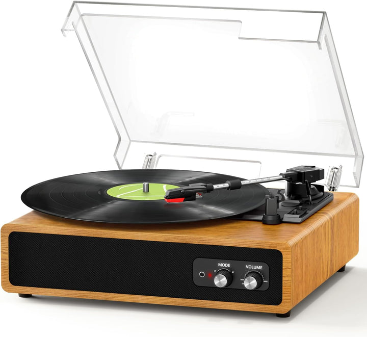 Plattenspieler, FYDEE Vinyl Plattenspieler mit Eingebauten Stereo-Lautsprechern, 3 Geschwindigkeiten