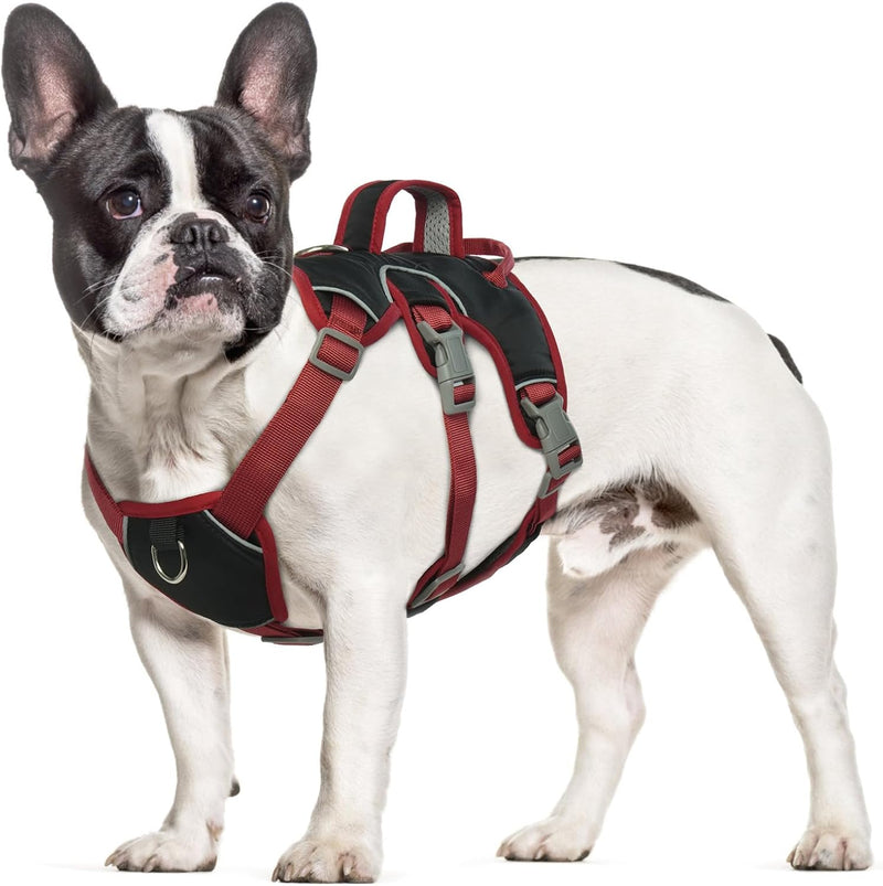 Hjumarayan Hundegeschirr Mittelgrosse Hunde - Reflektierende Geschirr Hund Wasserdicht Sicherheitsge