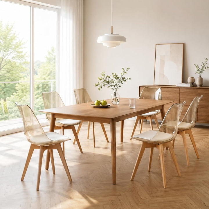 EGGREE 6er-Set Skandinavische SGS-geprüfte Esszimmerstühle, 6 Braune Transparente Küchenstühle mit M