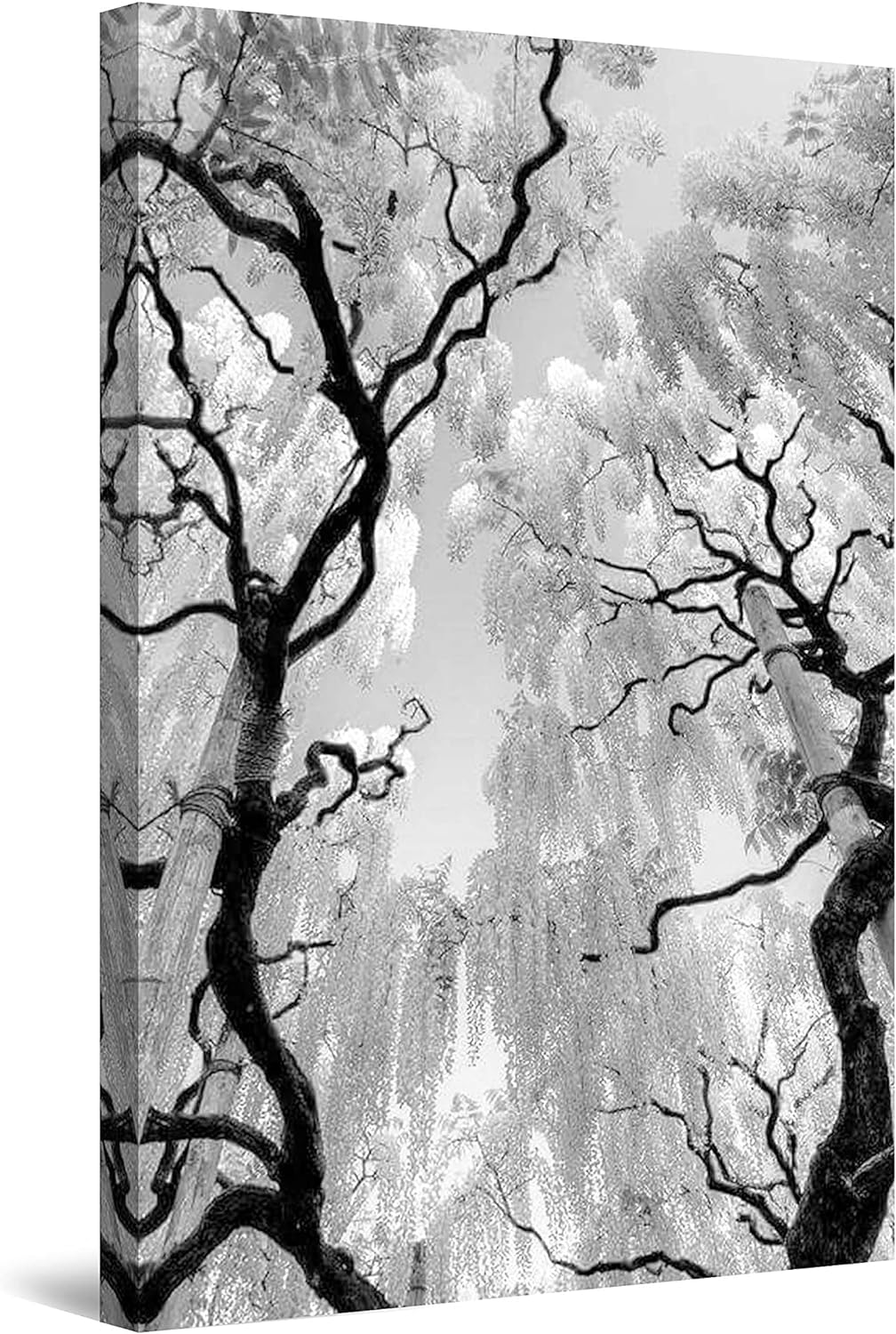 Startonight Leinwandbilder Schwarz und Weiss Bäume, Doppelansicht Überraschung Modernes Dekor Kunstw