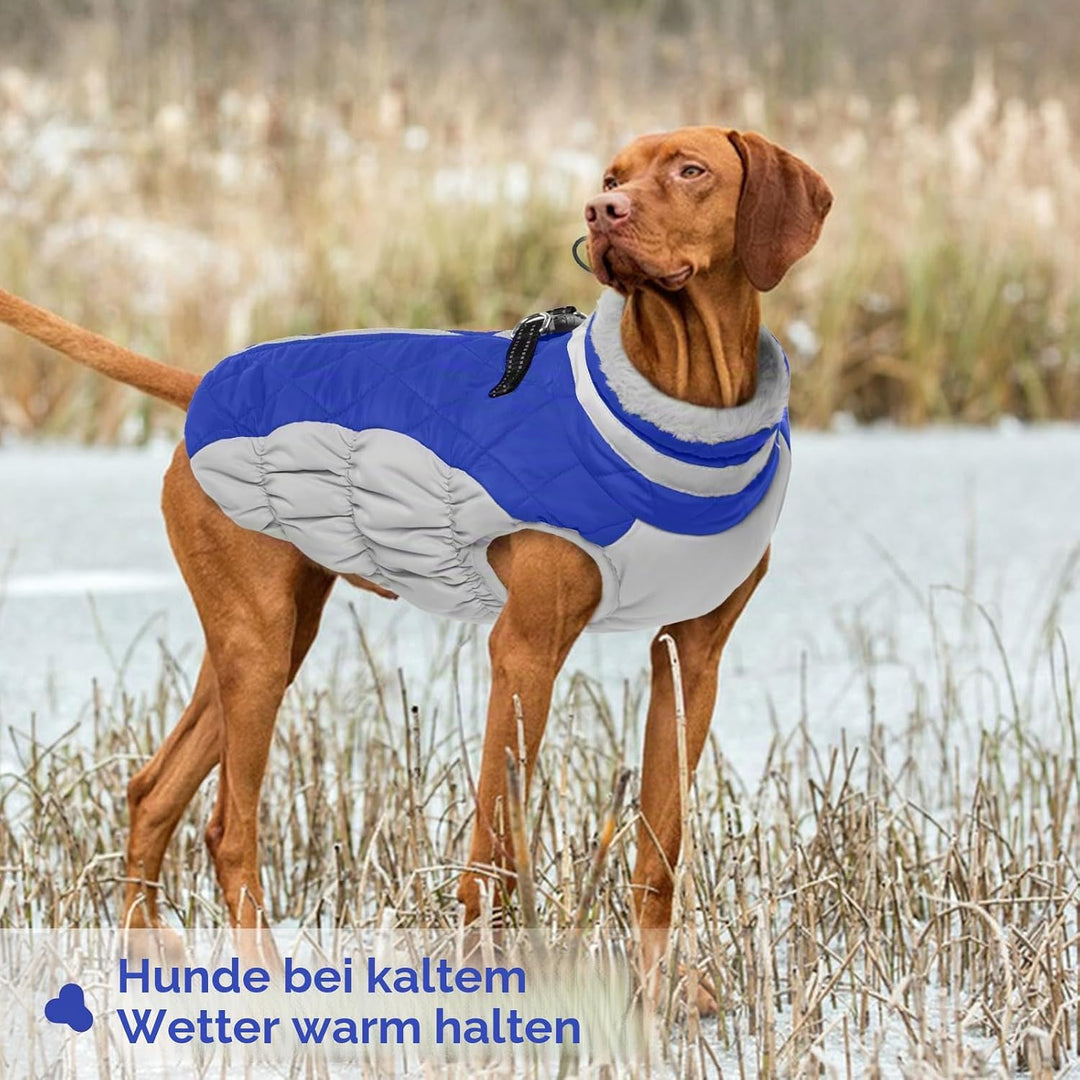 PUMYPOREITY Hundemantel Winter, Wasserdicht Hundejacken Grosse Hunde Weste Warm Winddicht Hundejacke