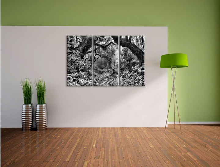 Pixxprint Mystischer Regenwald als Leinwandbild | Grösse: 3 Teilig (120x80) | Wandbild| Kunstdruck |