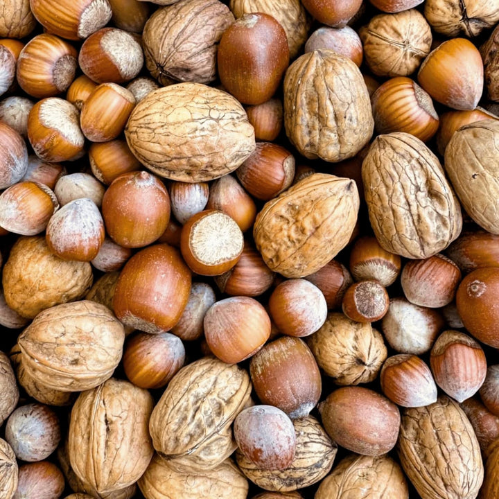 Orni Artgerechter Nüsse Mix für Eichhörnchenfutter 1kg | Futter für Eichhörnchen mit Haselnüsse, Wal