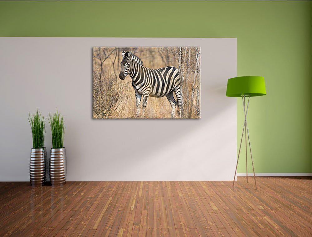 Pixxprint einsames Zebra auf Leinwand, XXL riesige Bilder fertig gerahmt mit Keilrahmen, Kunstdruck