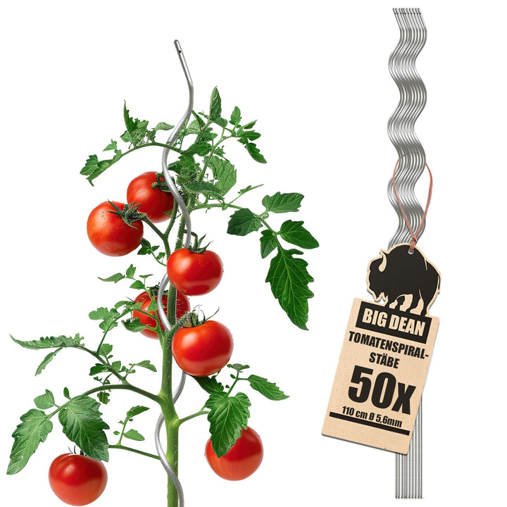 BigDean 50 Tomatenspiralstäbe 110cm voll verzinkt Tomatenstab Tomaten Ranke Pflanzstab Stahl Profi Q