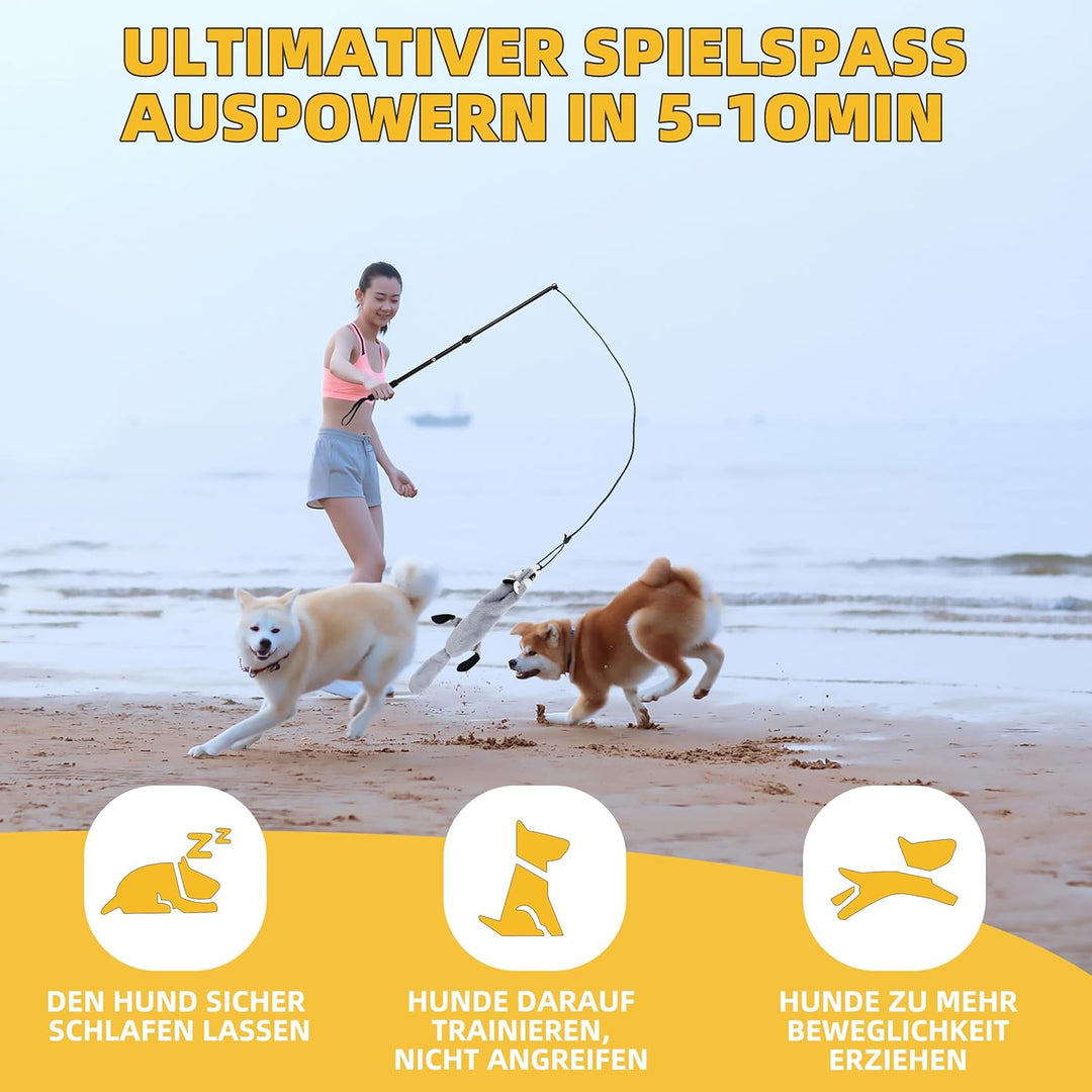 Reizangel Hunde, Profi Reizangel für Kleine, Mittelgrosser, Grosse Hunde für Ultimativen Spielspass