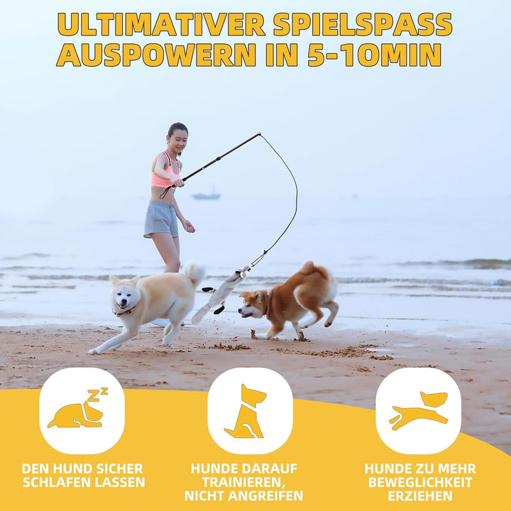 Reizangel Hunde, Profi Reizangel für Kleine, Mittelgrosser, Grosse Hunde für Ultimativen Spielspass