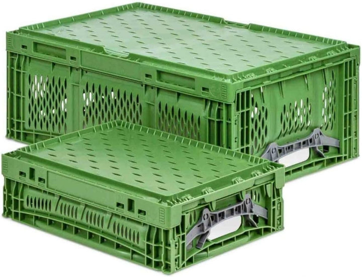 PROREGAL Stabile Profi-Klappbox Chameleon in Industriequalität | HxBxT 18x30x40cm | 17 Liter | klapp