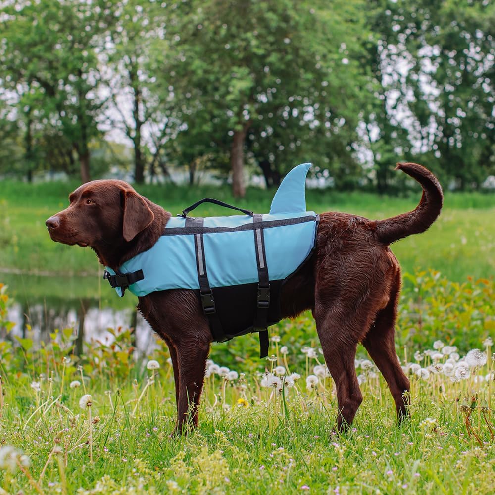Nobby Hunde Schwimmweste Sharky - verstellbare Brust- und Bauchgurte - Schwimmhilfe - Rettungsweste