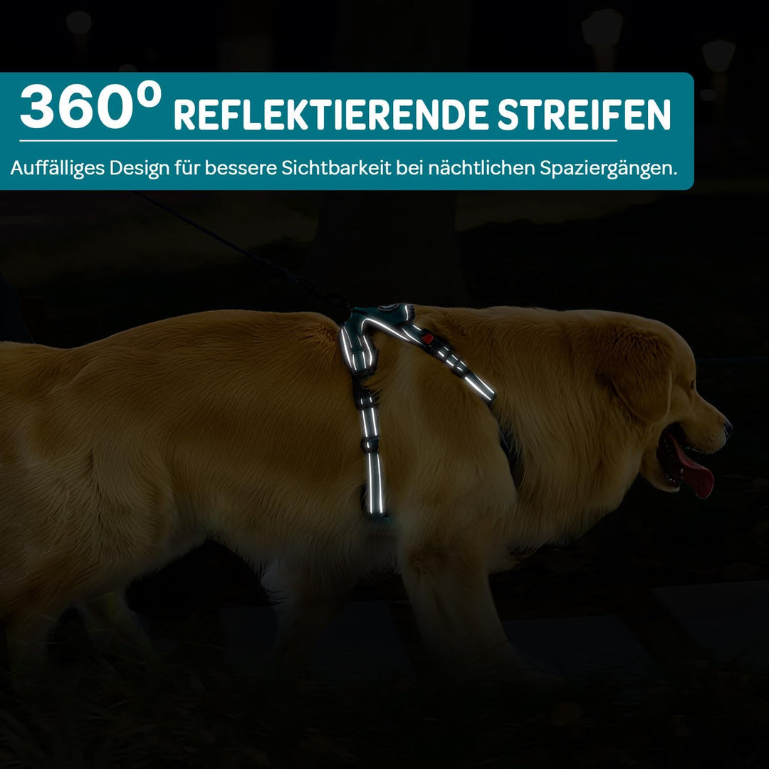 FURRYFECTION Hundefreileinengeschirr Zugfrei Würgfrei, Reflektierendes Oxfordgewebe, Polsternder Gri