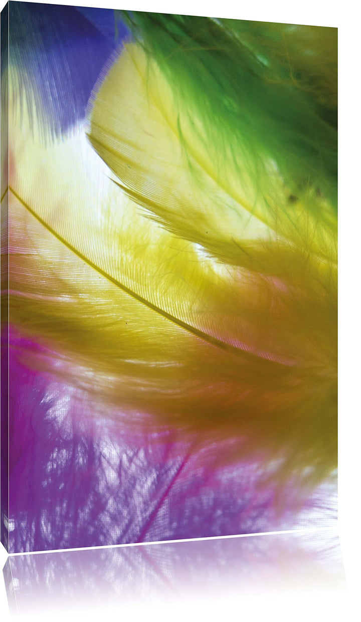 Pixxprint Bunte Federn, Format: 100x70 auf Leinwand, XXL riesige Bilder fertig gerahmt mit Keilrahme