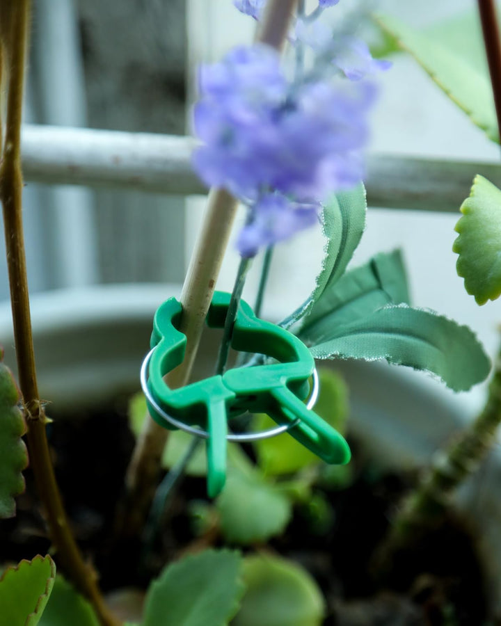 80 Pflanzenclips Pflanzenklammern für Rankhilfe Tomaten, Rosen, Gurken und andere Rankpflanzen – Bes