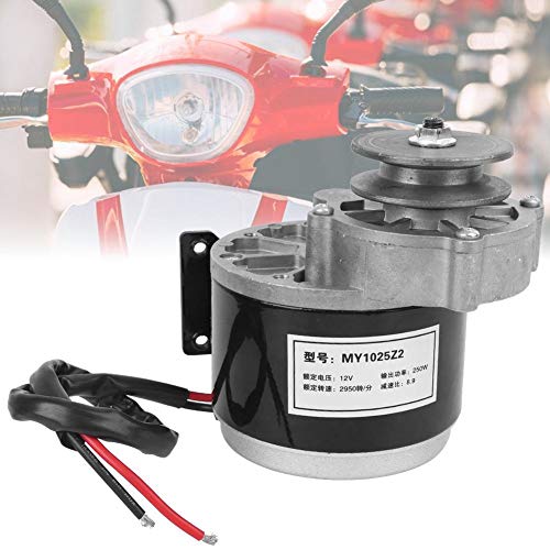 Elektromotor 12V 250W Getriebemotor Bürsten Motor Elektrisches Dreirad DC Zahnrad Bürstenmotor Elekt