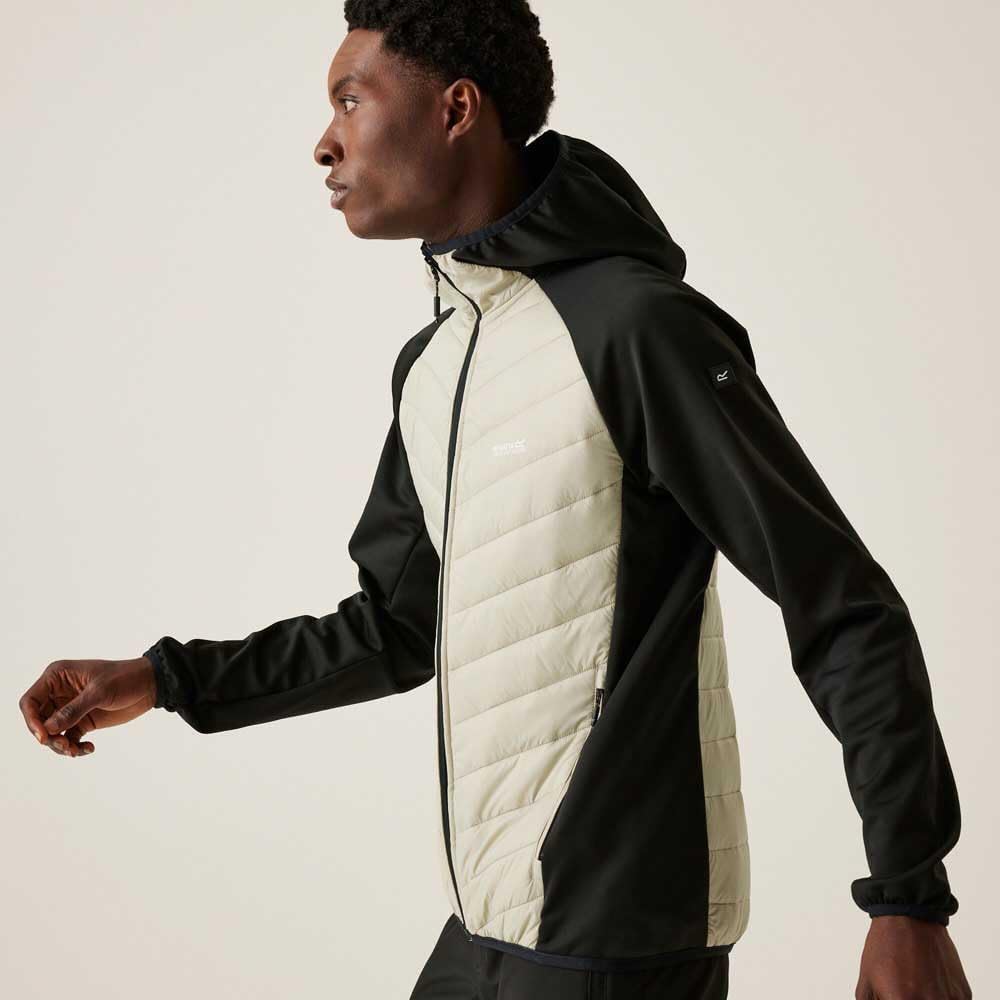 Regatta Herren Softshelljacke mit Kapuze, gepolstert, 1 Stück XL Abbeystone / Schwarz, XL Abbeystone