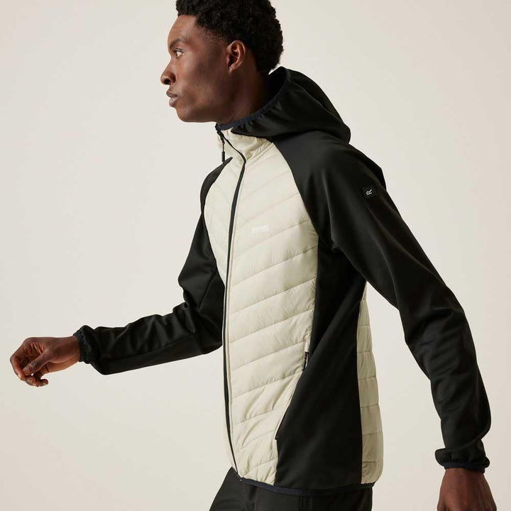 Regatta Herren Softshelljacke mit Kapuze, gepolstert, 1 Stück XL Abbeystone / Schwarz, XL Abbeystone