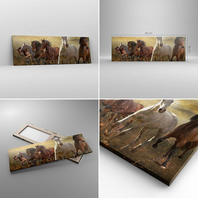 Panorama Bilder auf Leinwand Pferd Tier Natur Leinwandbild mit Rahmen 90x30cm Wandbilder Dekoration