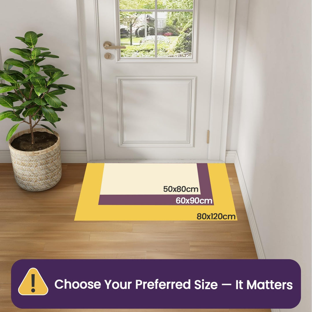 DEXI Fussmatte Innen 50 x 80 cm, rutschfeste Schmutzfangmatte, Maschinenwaschbare Fussmatte, Saugsta