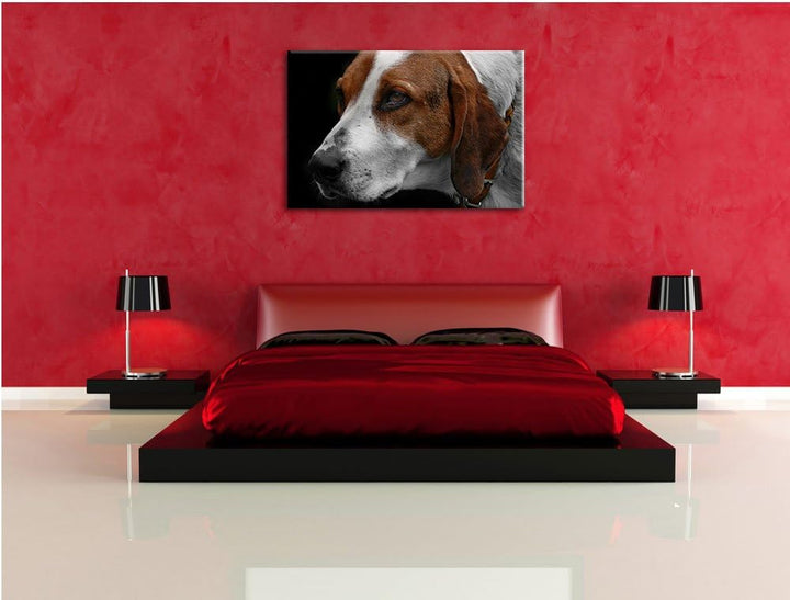 Dark hübscher Hund im Seitenprofilauf Leinwand, XXL riesige Bilder fertig gerahmt mit Keilrahmen, Ku