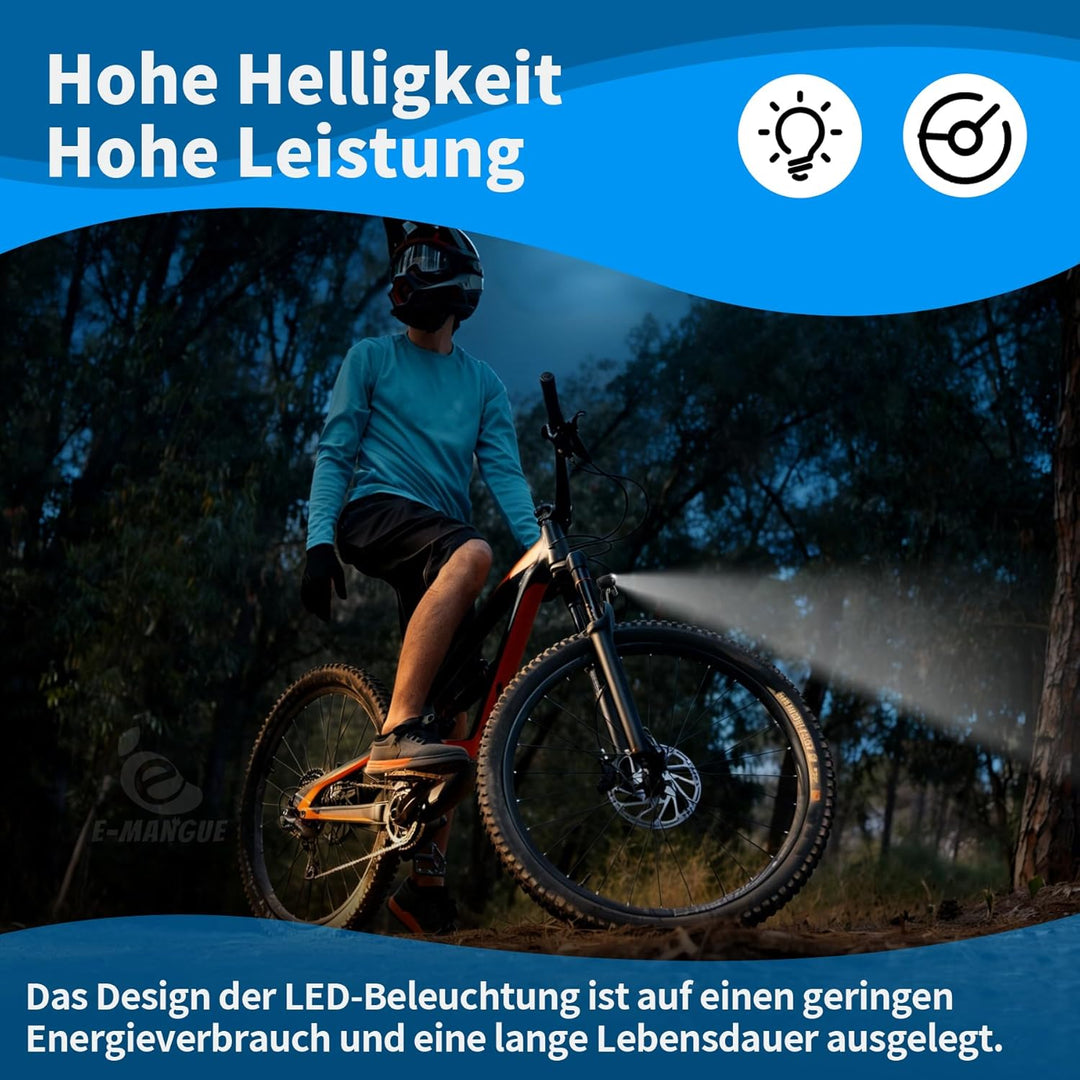 E-Bike LED Fahrradlicht Dynamo Vorne mit Lichtautomatik Standlicht, 60 LUX StVZO Zugelassen Dynamo F