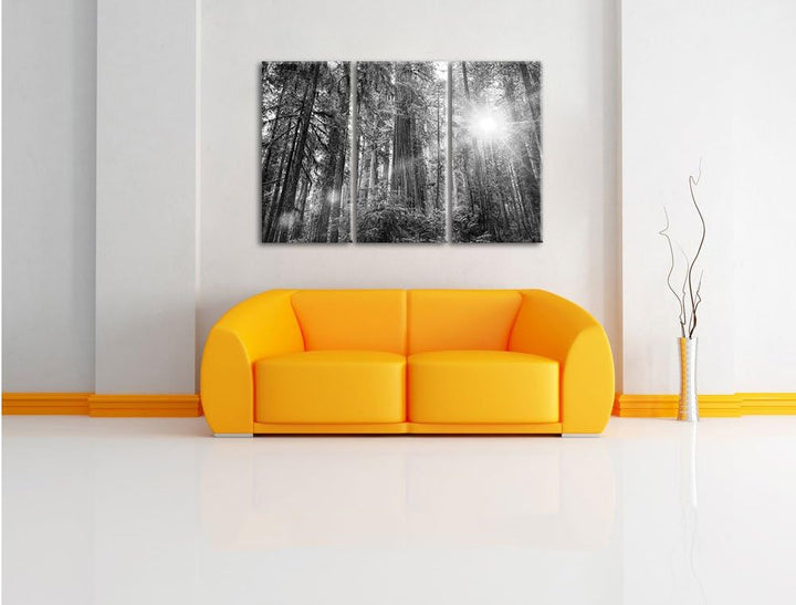 Pixxprint Wald bei Sonnenlicht / 3-Teilig/Gesamtmass 120cm Leinwandbild bespannt auf Holzrahmen/Wand