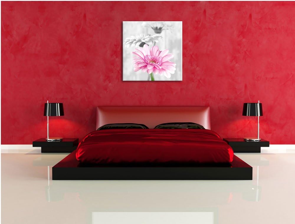 Pixxprint schöne Gerberas bei Tageslicht schwarz/weiss, Format: 70x70 auf Leinwand, 70x70