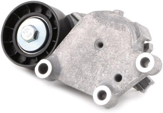 GATES Micro-V Kit K026PK975