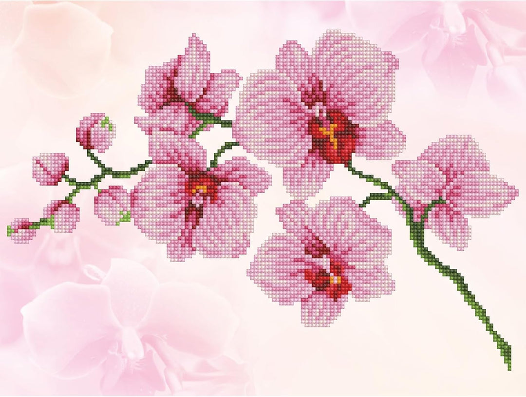 DIAMOND DOTZ Diamant-Malerei-Set, mittelgross, DD6, Orchideenspray, 37 x 27 cm 37 x 27cm Orchideensp