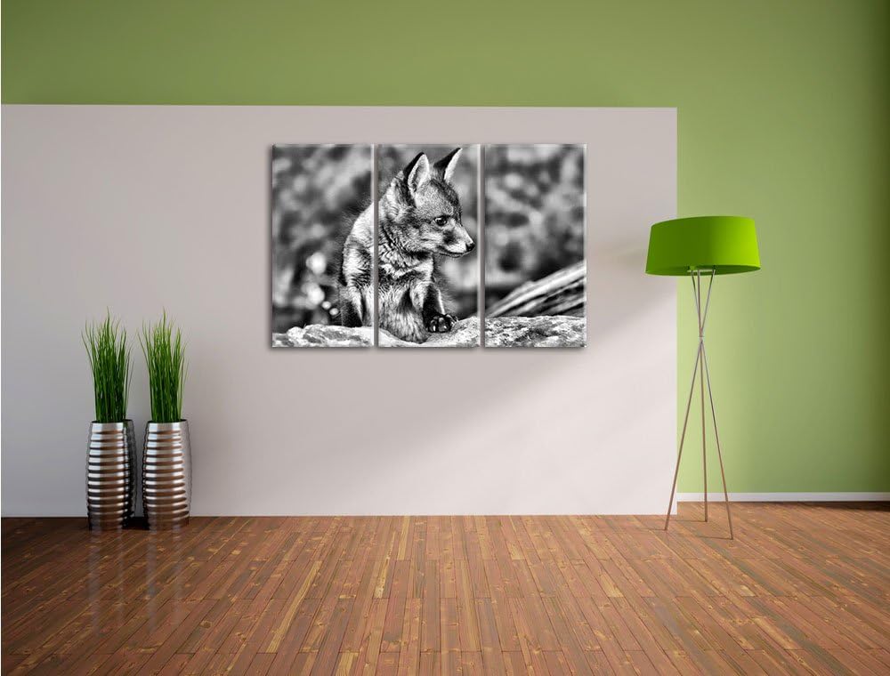 Pixxprint junger Fuchs als Leinwandbild/Grösse: 3 Teilig (120x80) cm/Wandbild/Kunstdruck/fertig besp