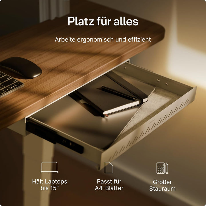 Desktronic Schreibtisch-Organizer, Untertisch-Aufbewahrungsbox, Schreibtisch für Büro Schule Homeoff